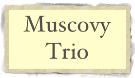 Muscovy Trio