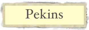 Pekins